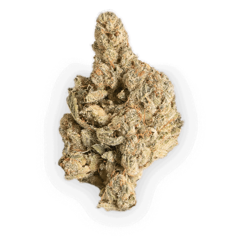 Gorilla Glue