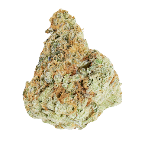 Morning Sun Strain