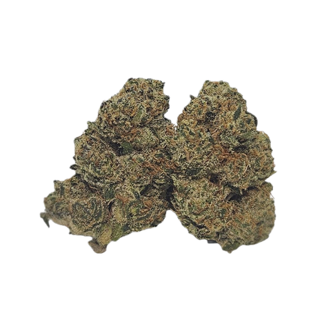 Nothern Lime Pie Strain