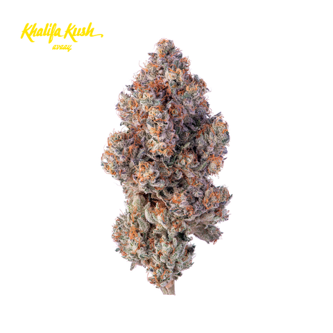 Khalifa Mints Strain