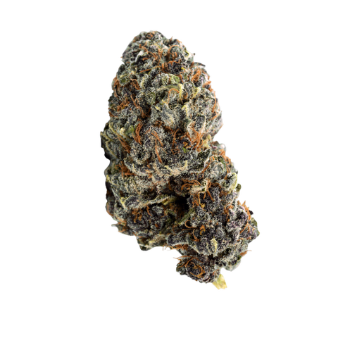 Georgia Pie Strain