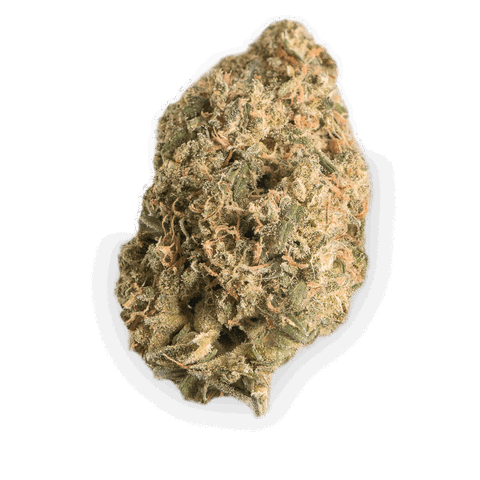 Afina Strain