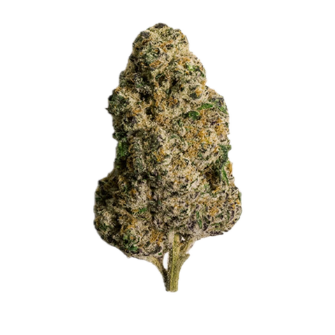 Sunset Sherbet Strain
