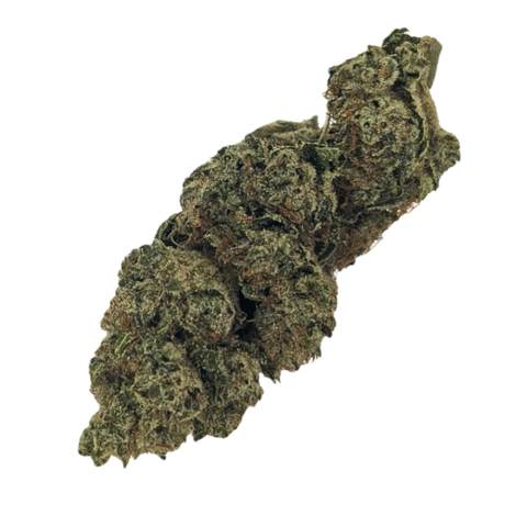 Solpina Magic Strain