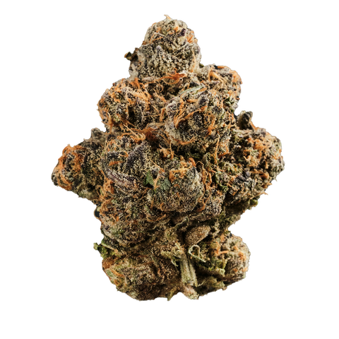 Gastro Pop Strain