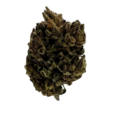 Maluti Cbd Strain