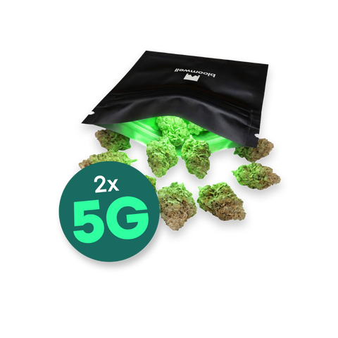 GMO Cookies & Frozen Lemon Mints Strain