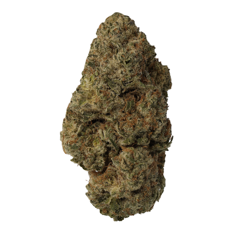 Bashengo Strain