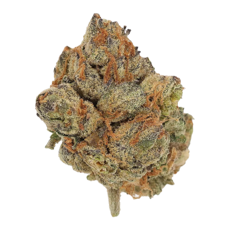 Grape Galena