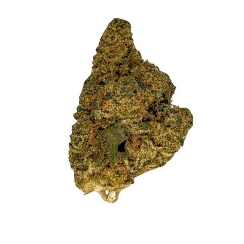 Florida OG Strain