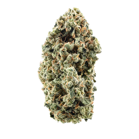 Siggis Zitronenblüte Strain