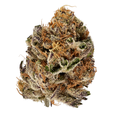 Citron Biker Cookies Strain