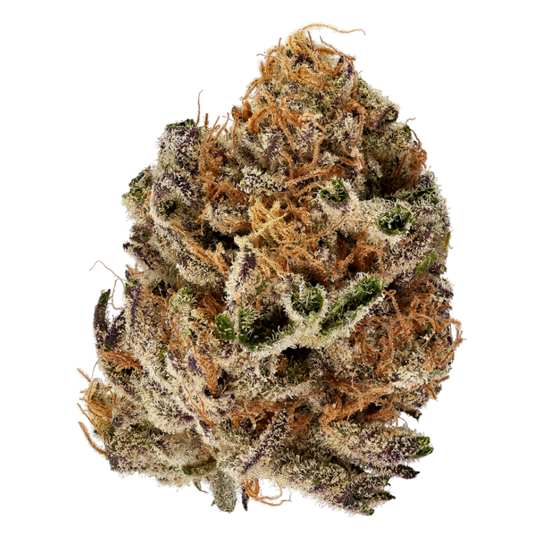Citron Biker Cookies