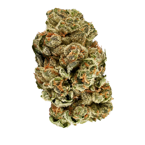Garlic Z Strain