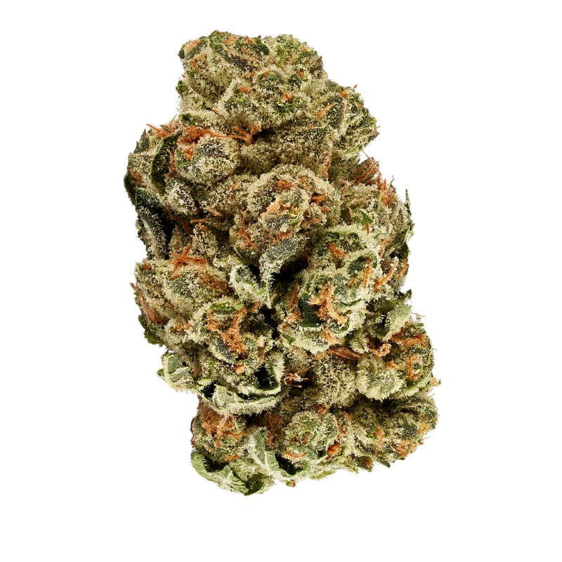 Garlic Z