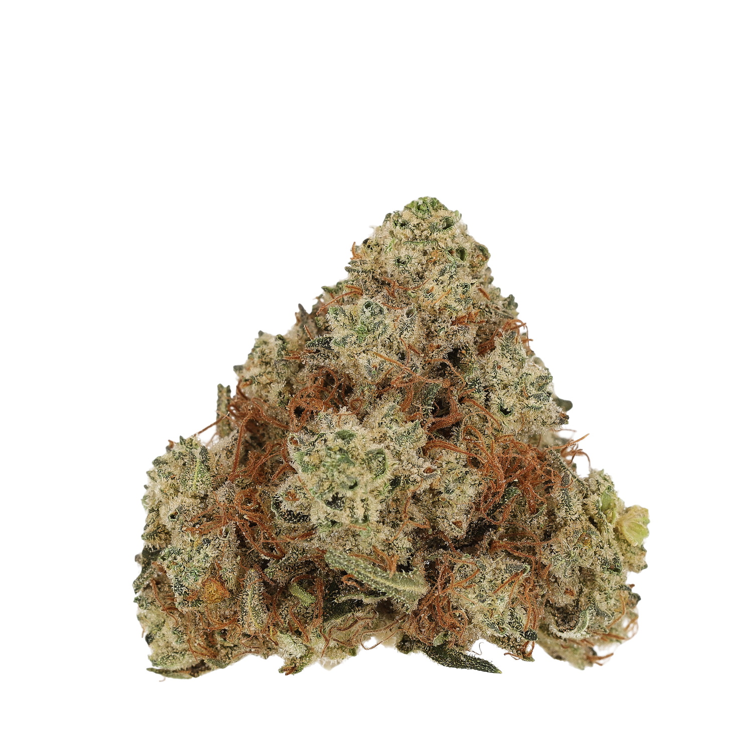 Cannamedical Hybrid Forte DK