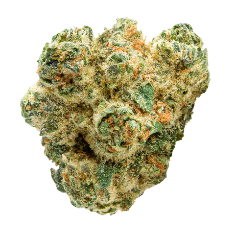 Lotus Punch Strain