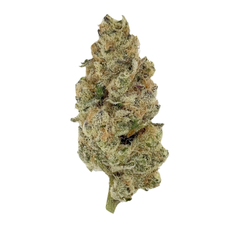 Munson Strain