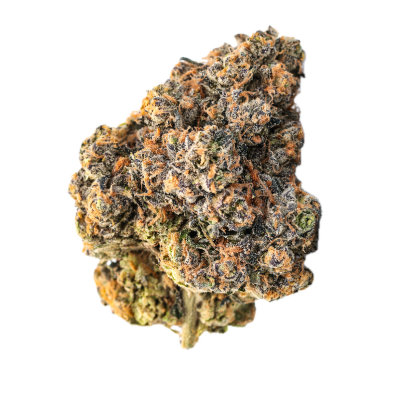 Cookies Gelato Yahemi