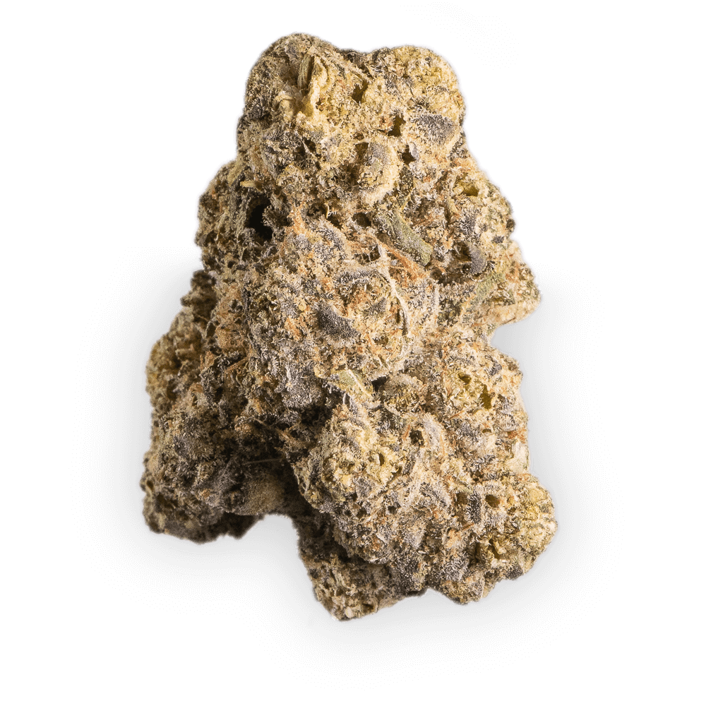 Cantourage Ceres No. 2