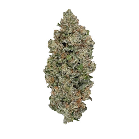 Ozark Strain