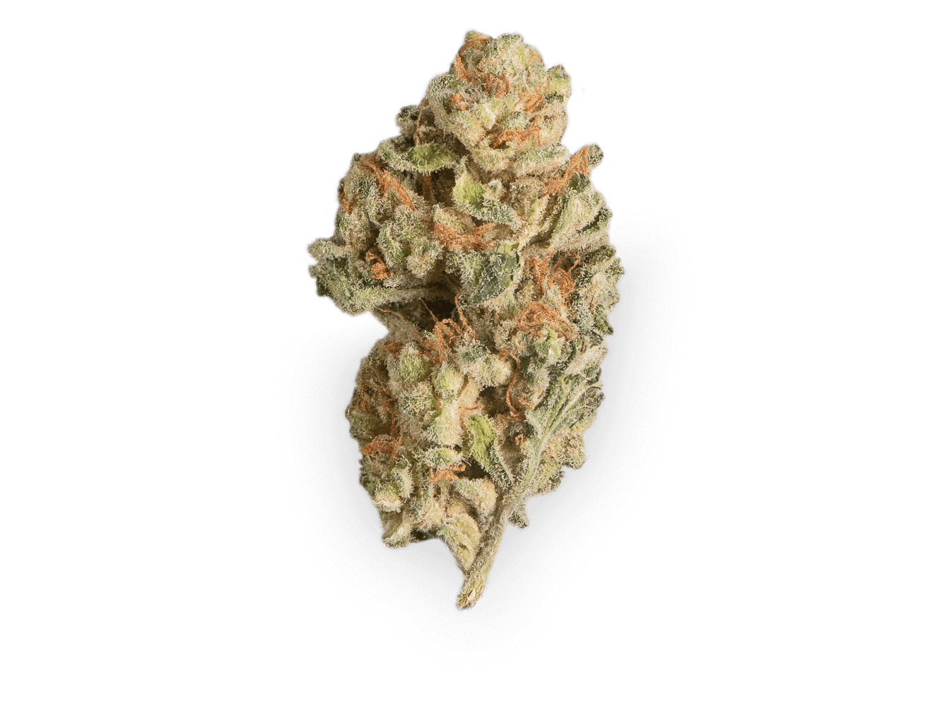 Tilray THC 15 Spotlight Porto