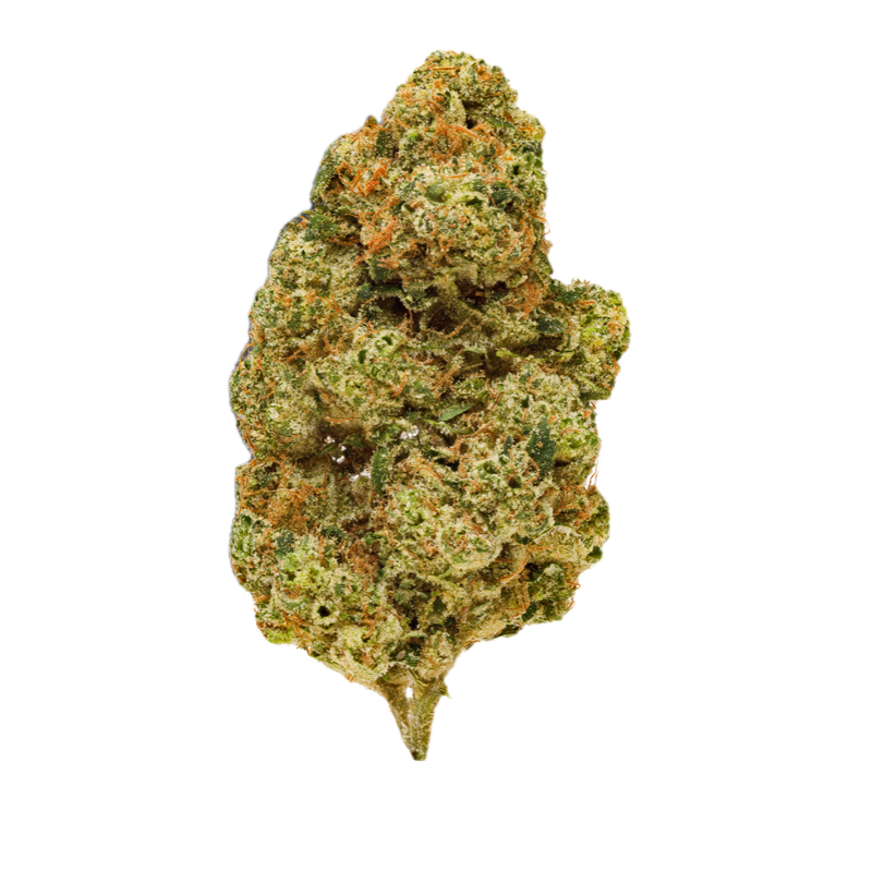 Electric Honeydew