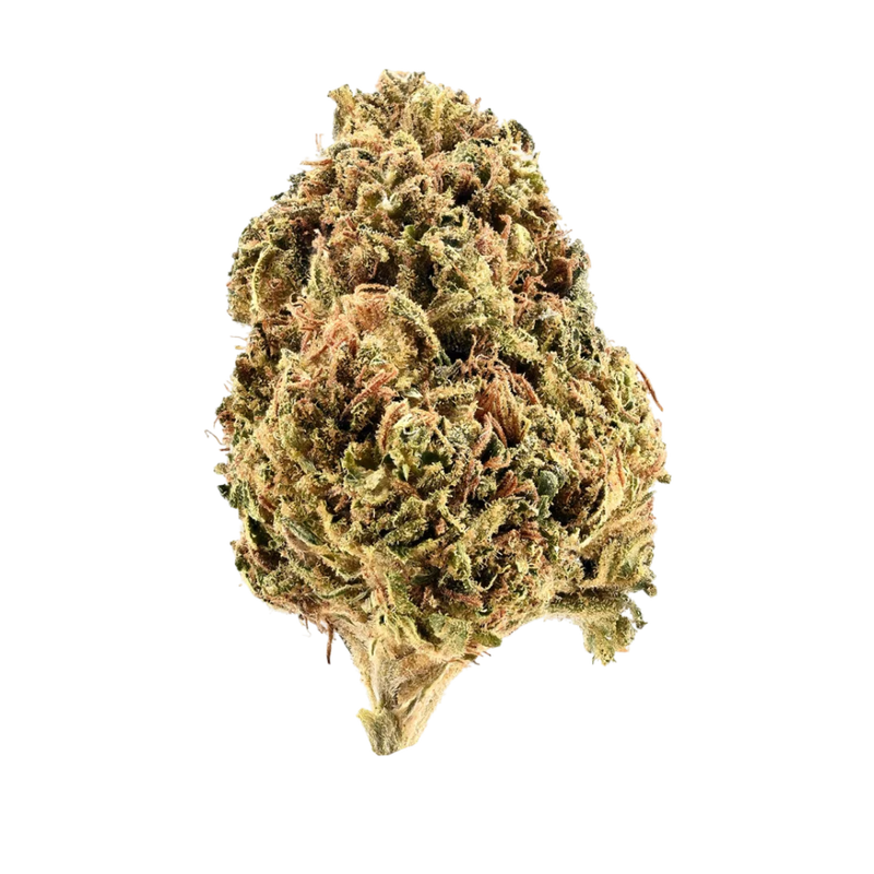 Sundae