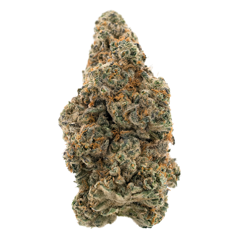 Moonbow X Planet Purple