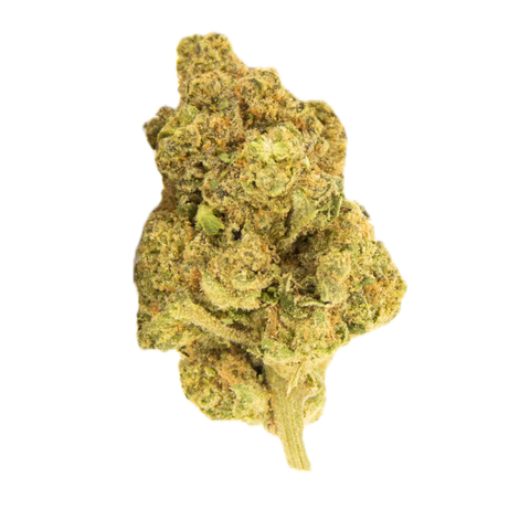 Hash Burger Strain