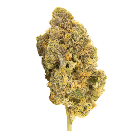 Carbon Fiber Strain